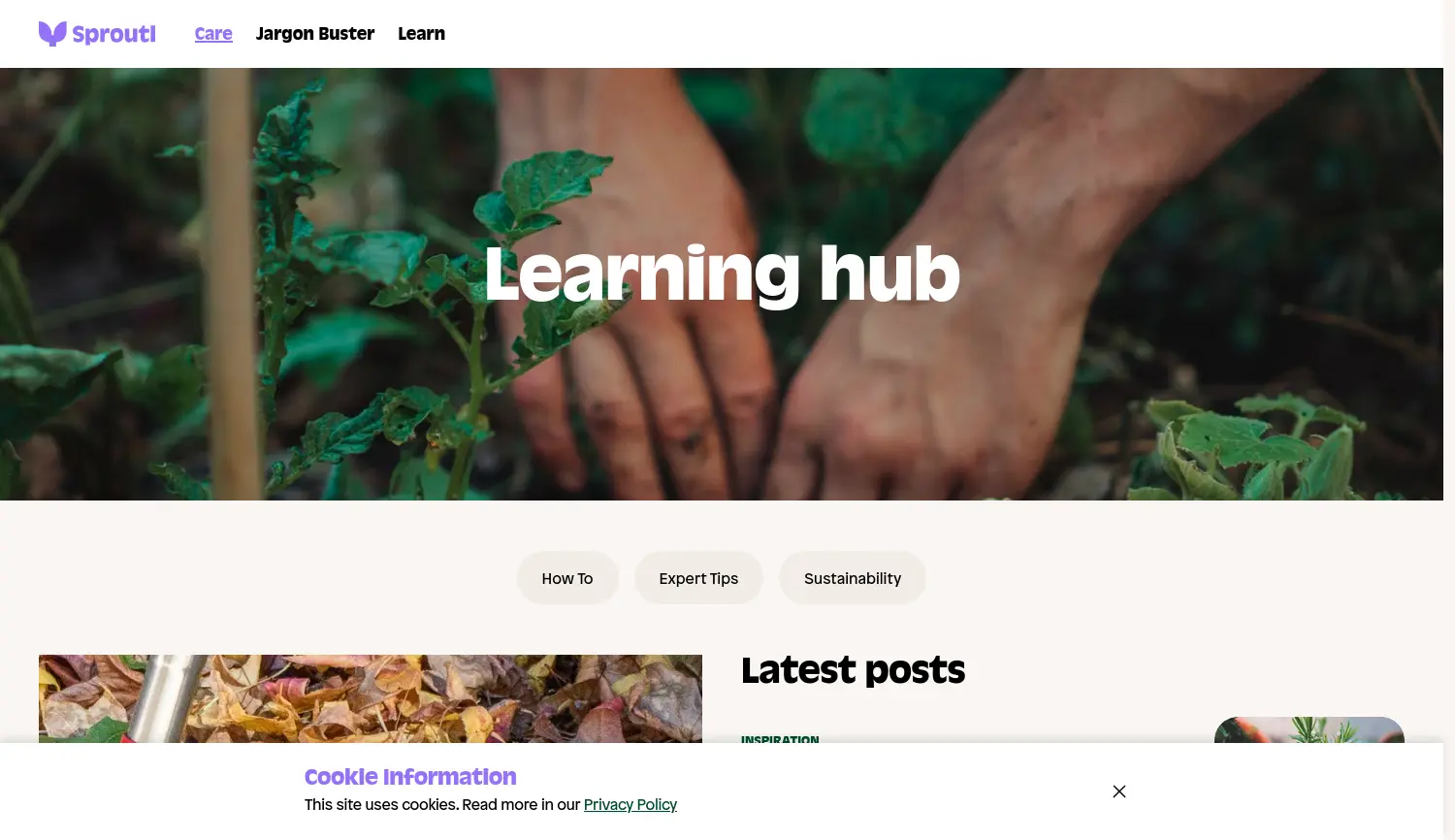 Website der Firma Sproutl