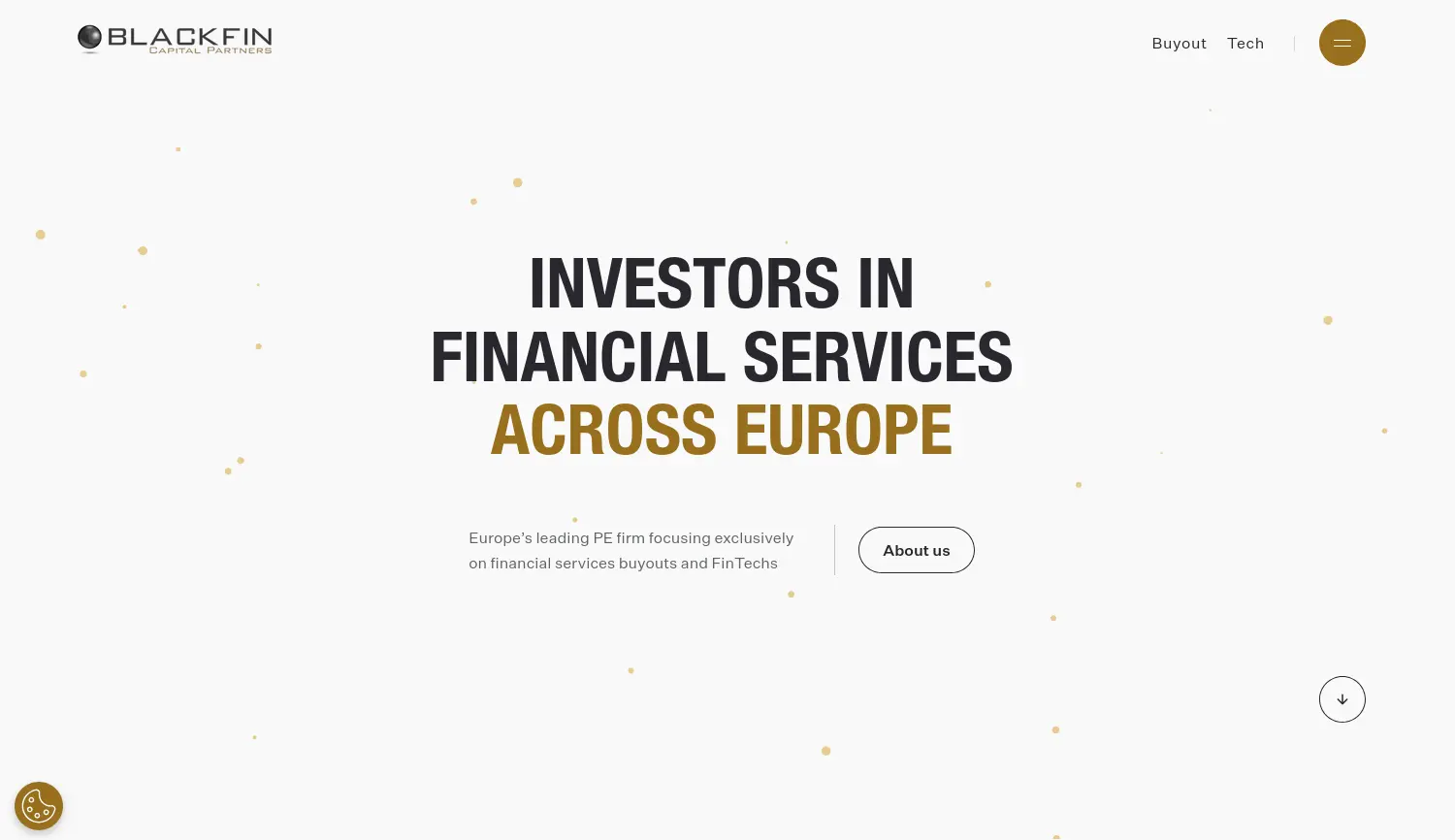 Website der Firma BlackFin Capital Partners