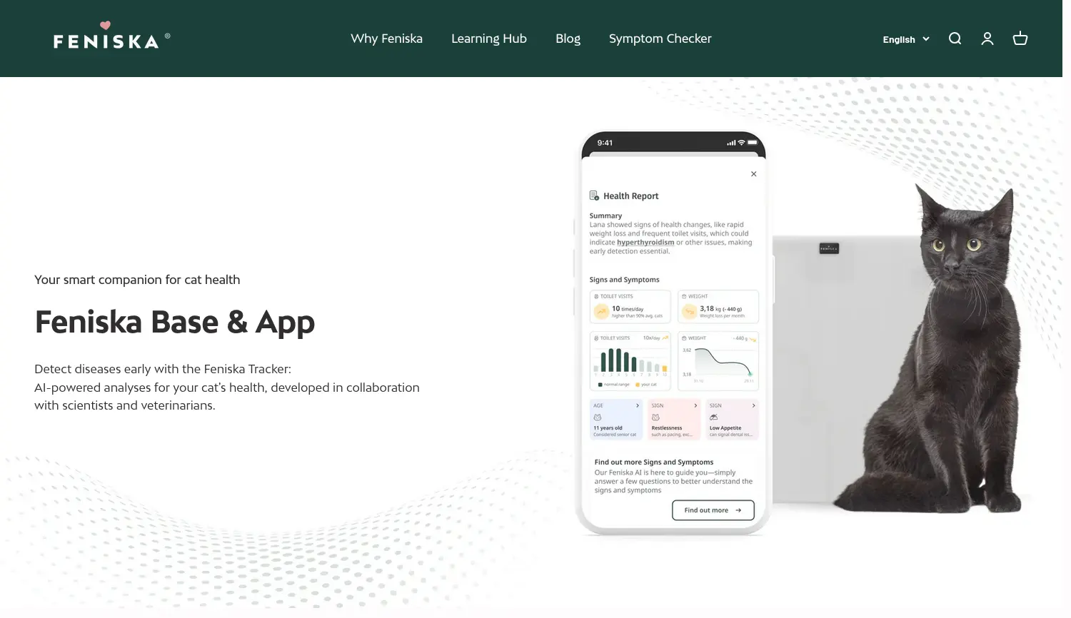 Website der Firma Feniska