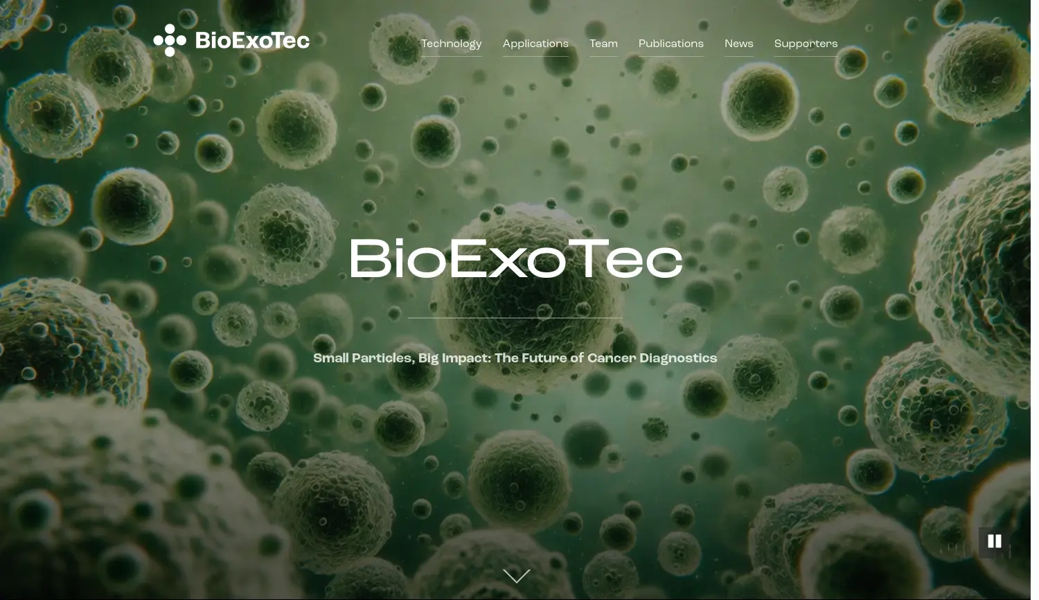 Website der Firma BioExoTec