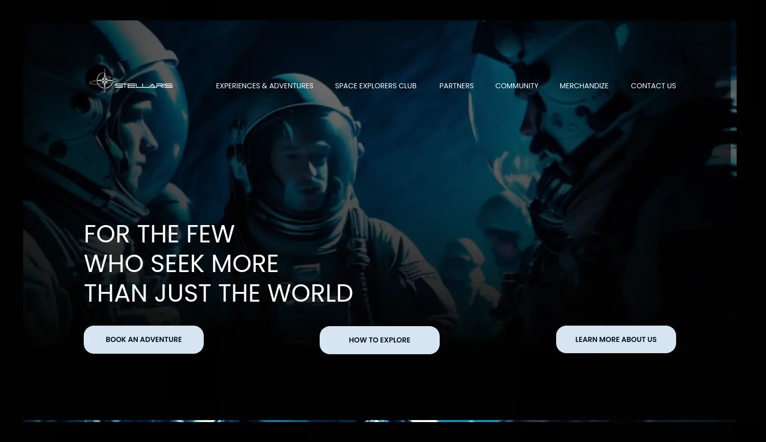 Website der Firma Stellaris
