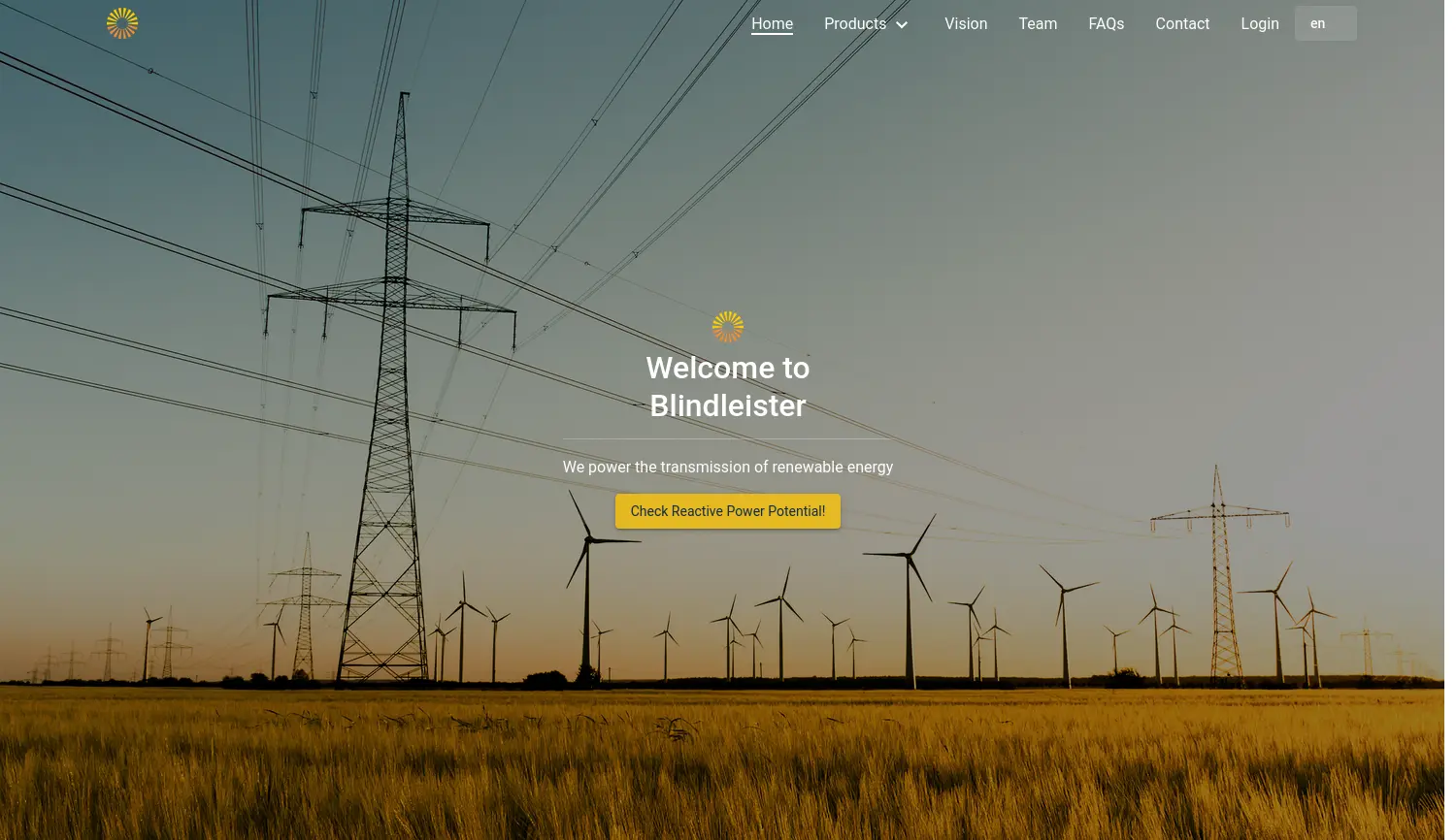 Website der Firma Blindleister GmbH