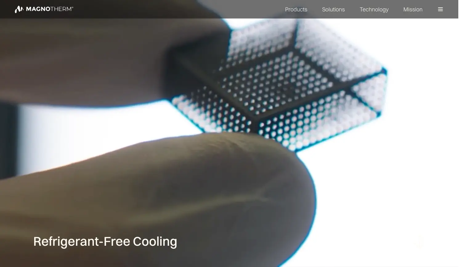 Website der Firma salted GmbH