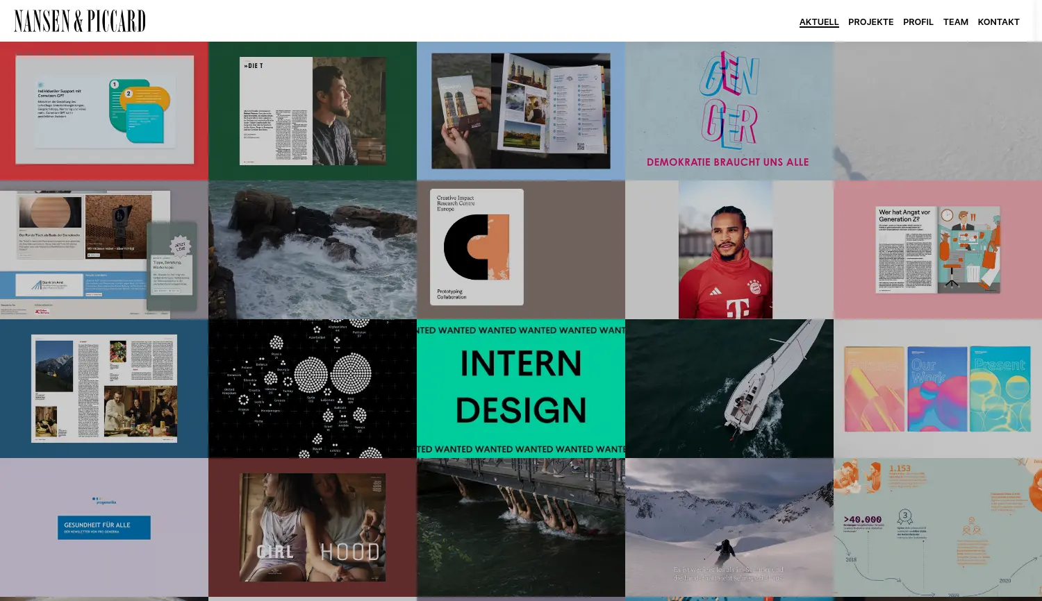 Website der Firma NANSEN & PICCARD PartGes