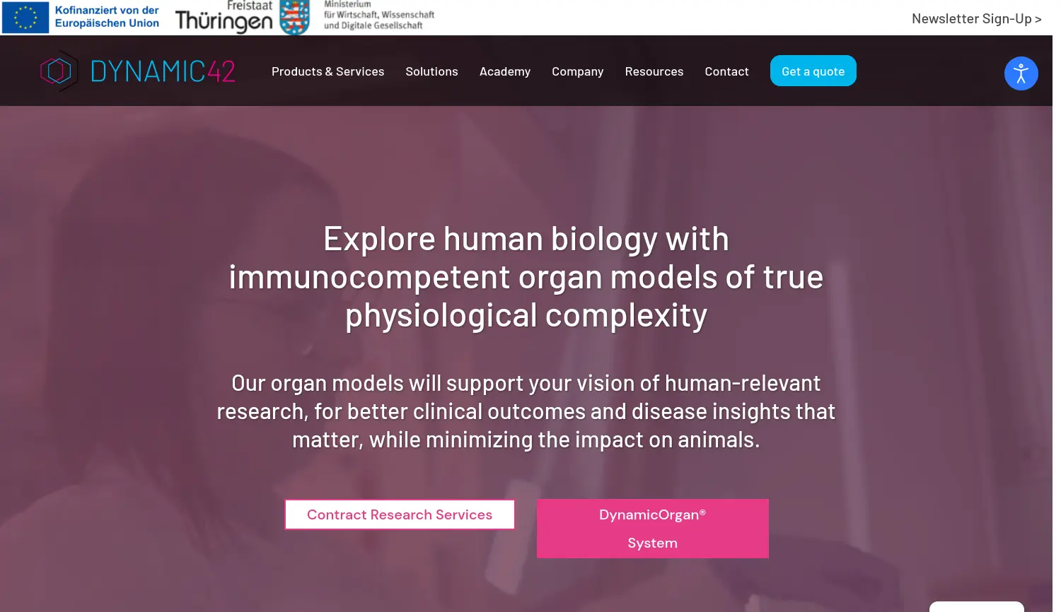 Website der Firma Dynamic42 GmbH