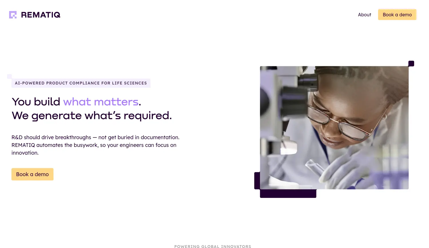 Website der Firma REMATIQ