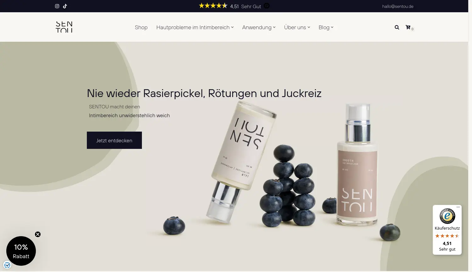 Website der Firma SENTOU