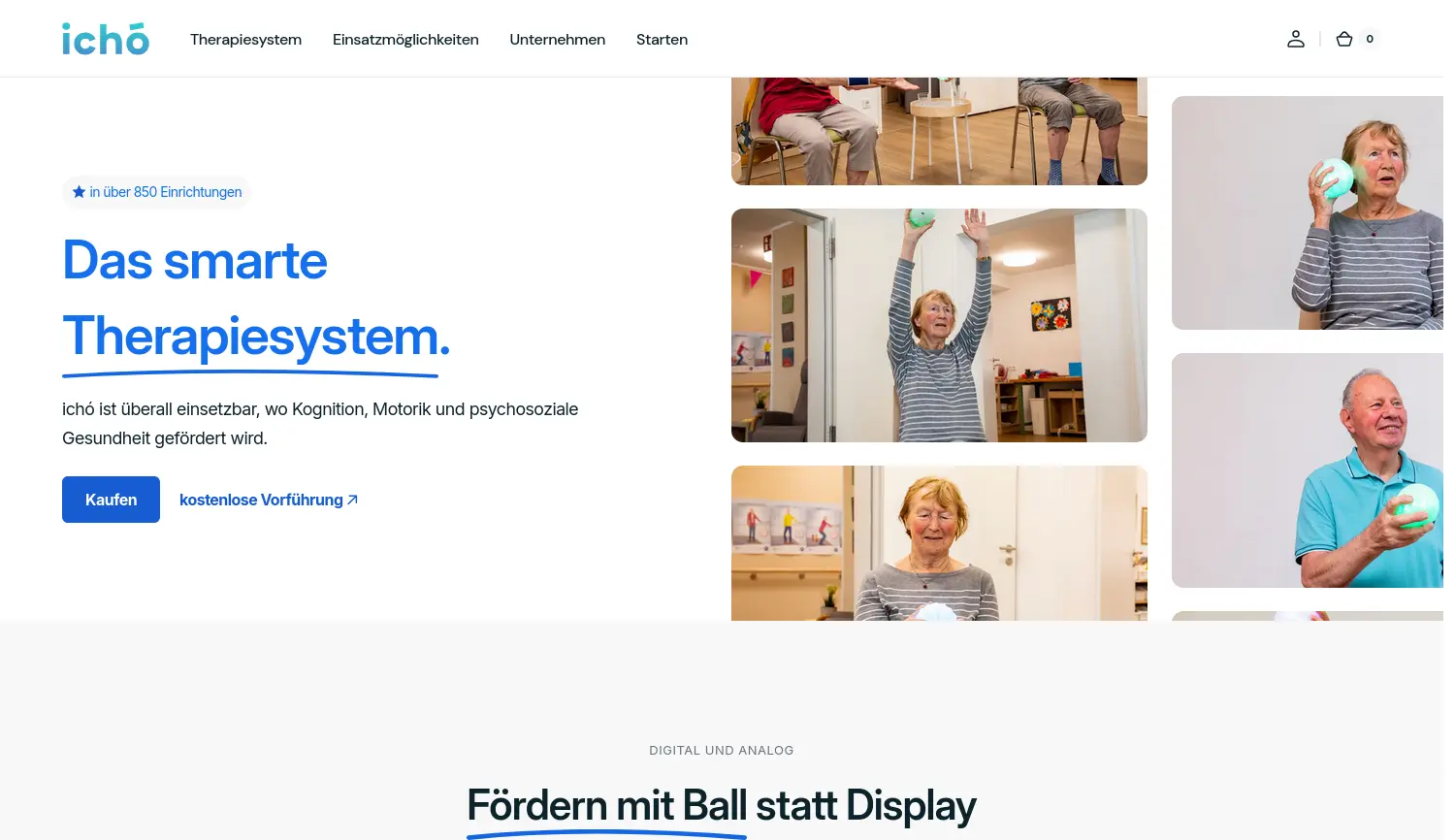 Website der Firma ichó systems