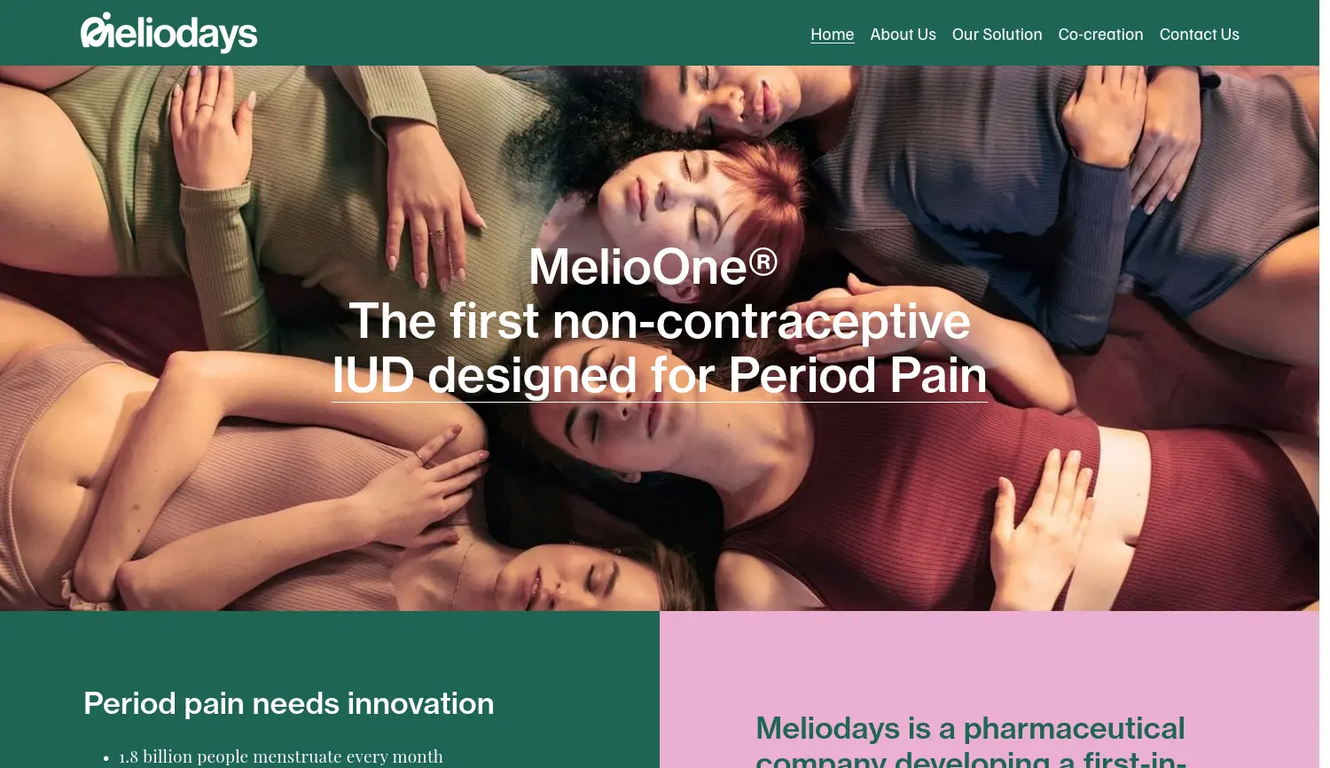 Website der Firma Meliodays Medical