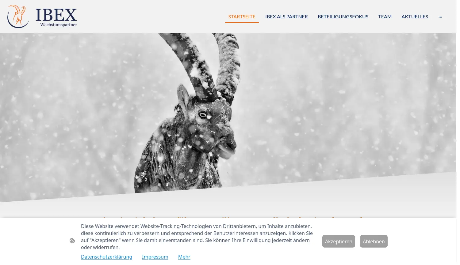 Website der Firma IBEX Wachstumspartner GmbH