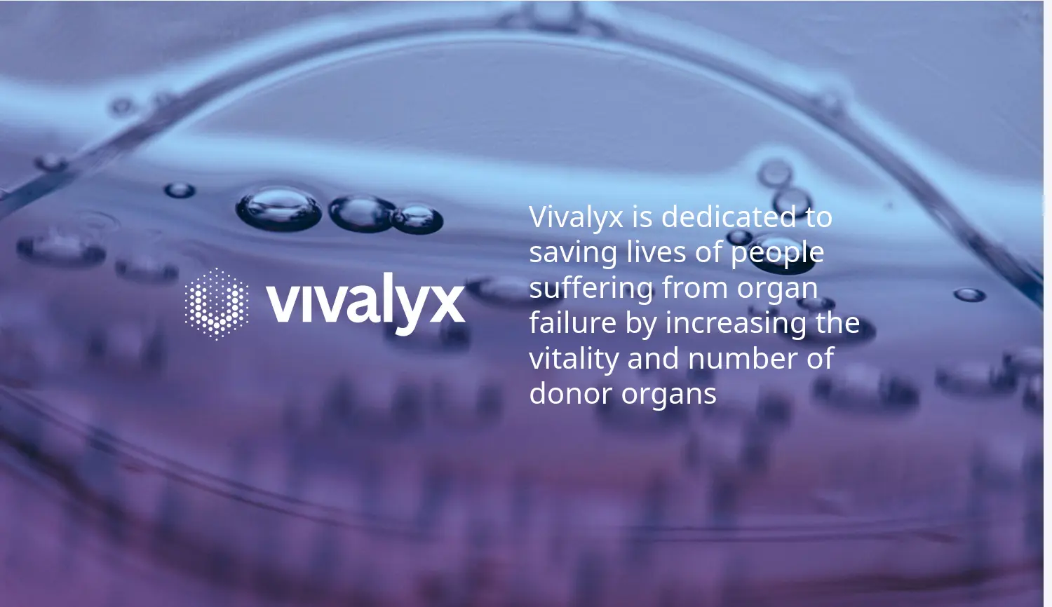Website der Firma Vivalyx GmbH