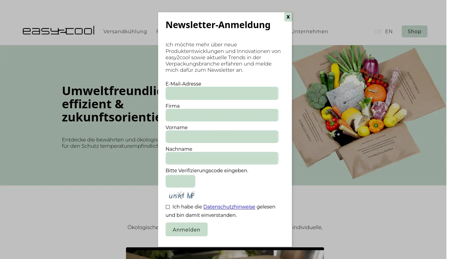 Website der Firma easy2cool GmbH
