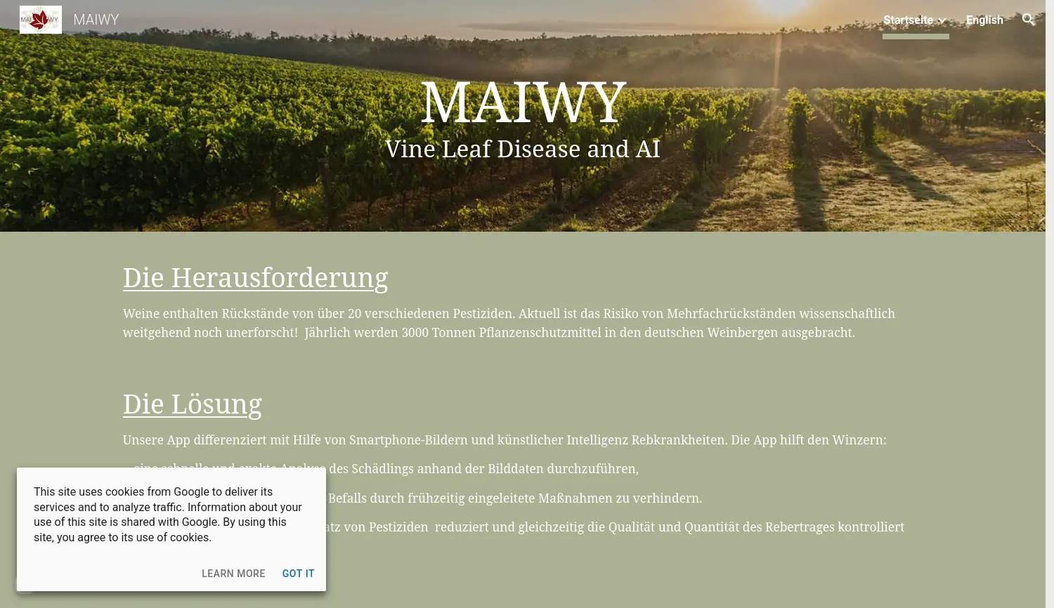 Website der Firma MAIWY