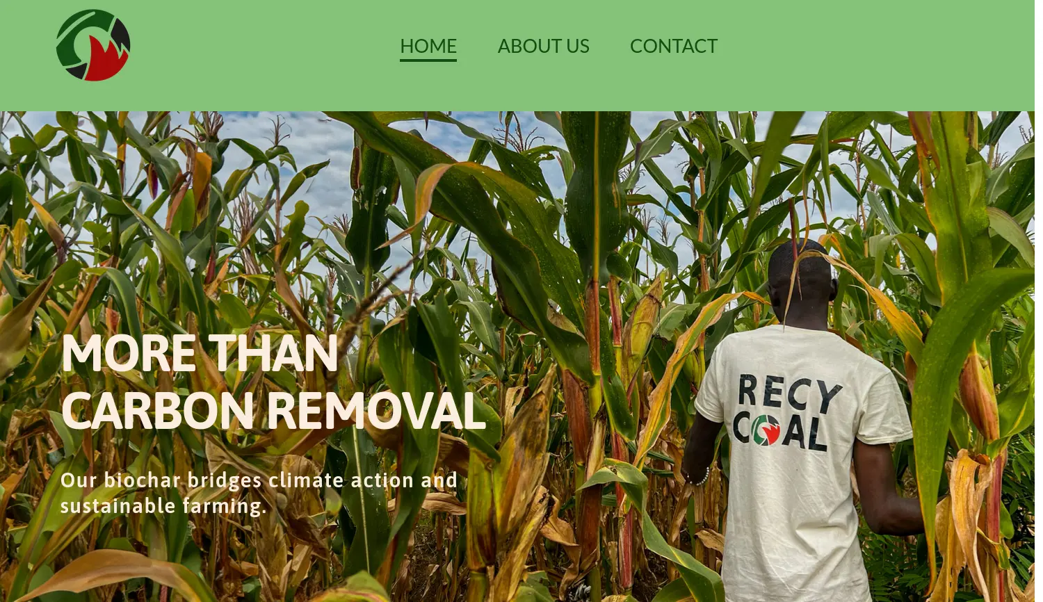 Website der Firma RecyCoal