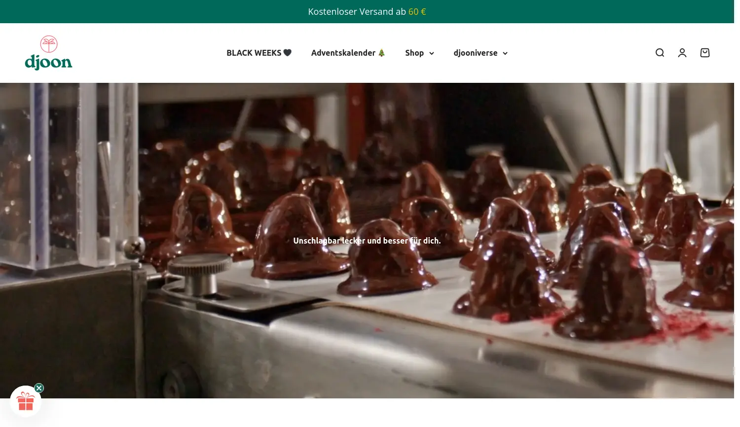 Website der Firma djoon