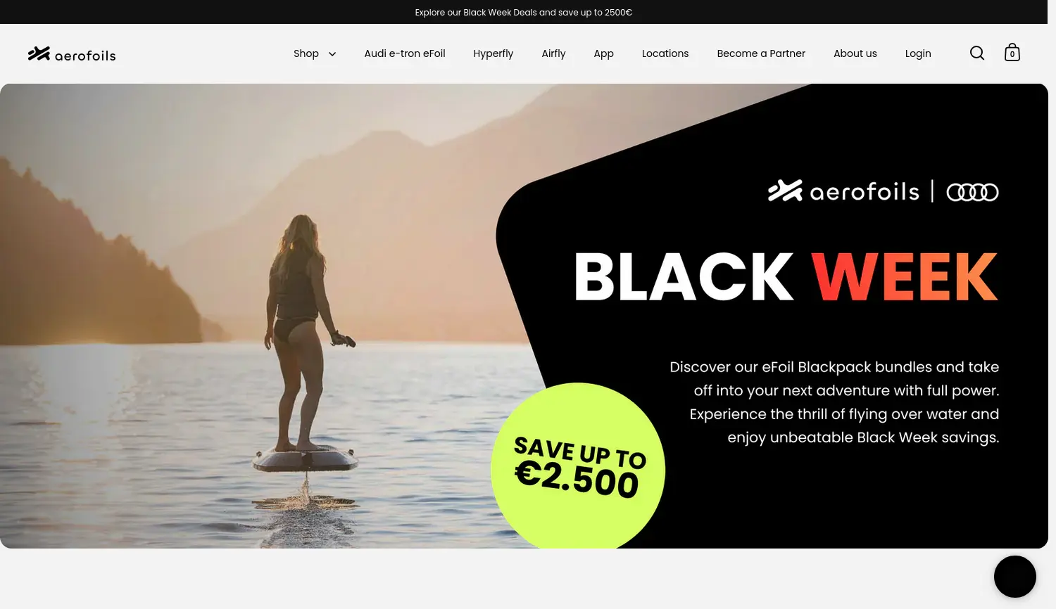 Website der Firma Aerofoils GmbH