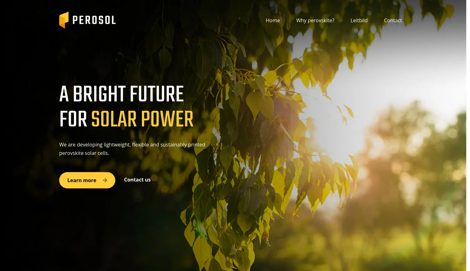 Website der Firma PEROSOL Startup