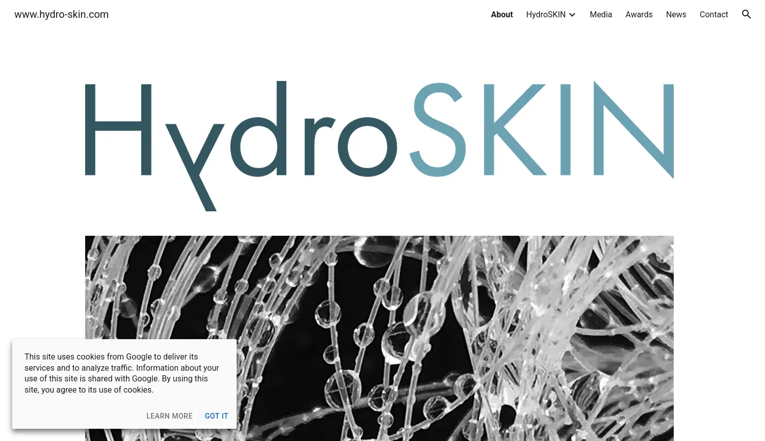 Website der Firma HydroSKIN