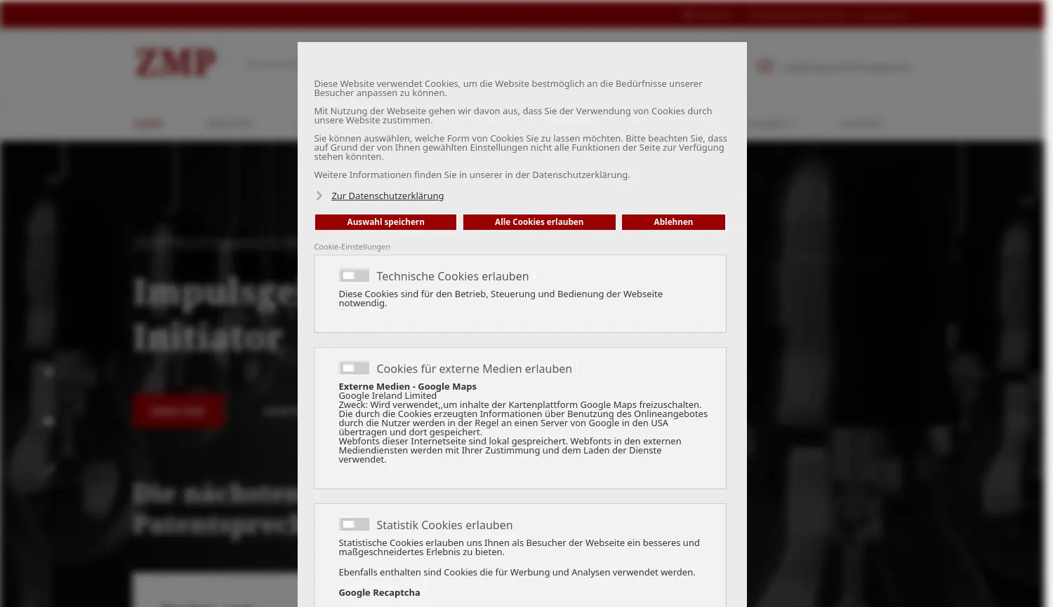 Website der Firma Rhön-Saale Gründer- und Innovationszentrum GmbH & Co. KG