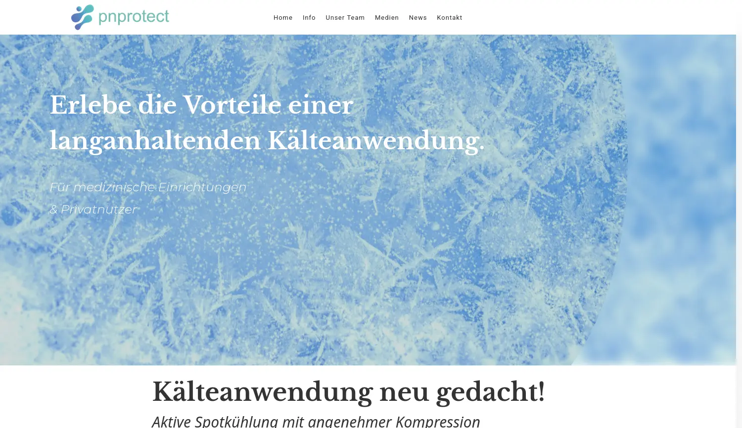 Website der Firma PNProtect GmbH