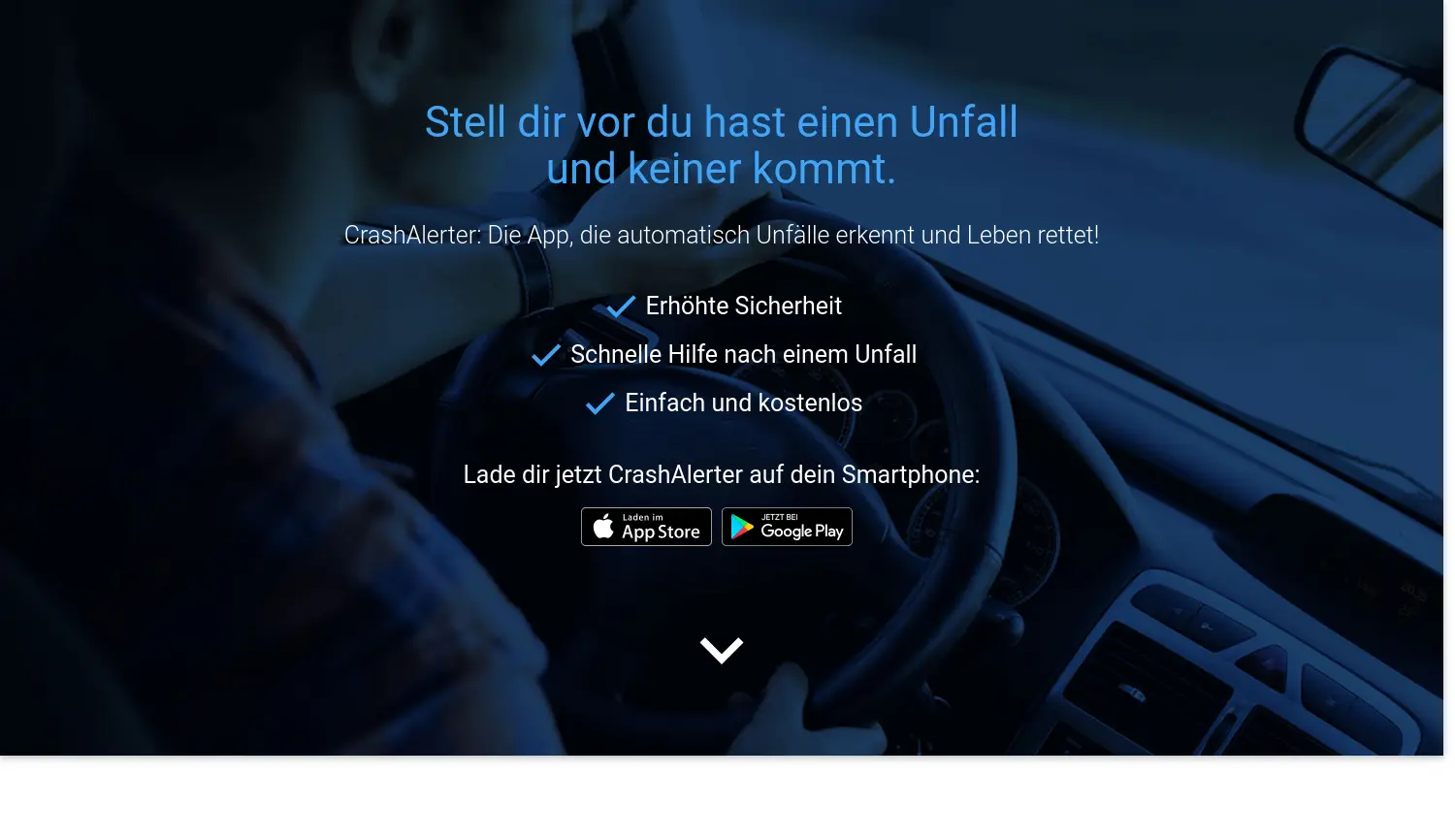 Website der Firma Nico Ring