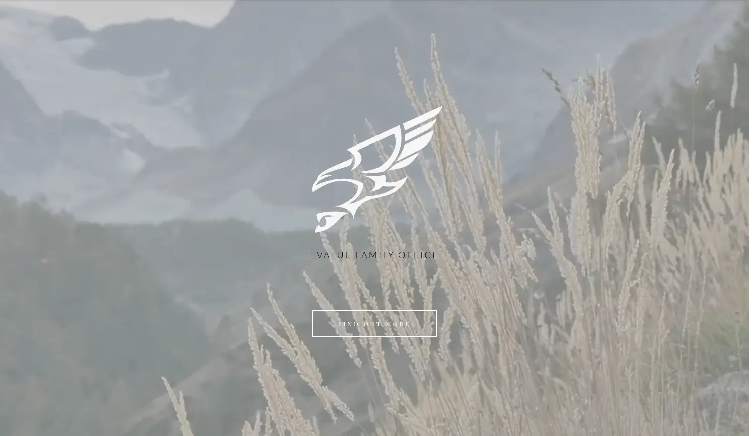 Website der Firma Evalue AG