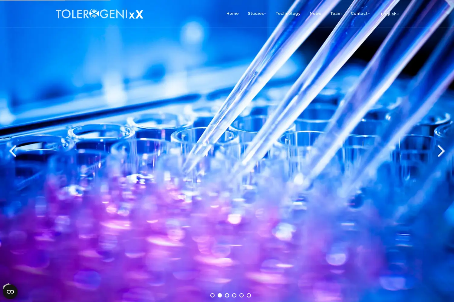 Website der Firma TolerogenixX GmbH