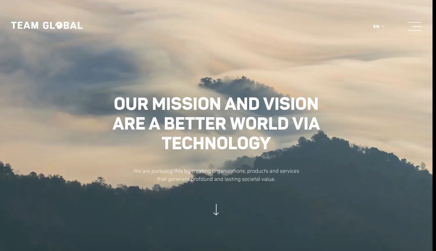 Website der Firma TEAM GLOBAL MANAGEMENT GmbH