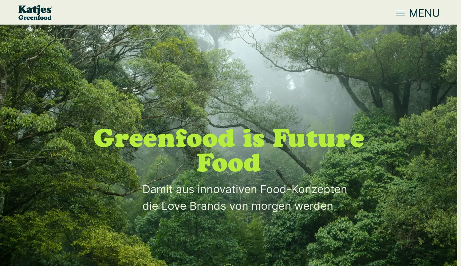 Website der Firma Katjesgreenfood GmbH & Co. KG