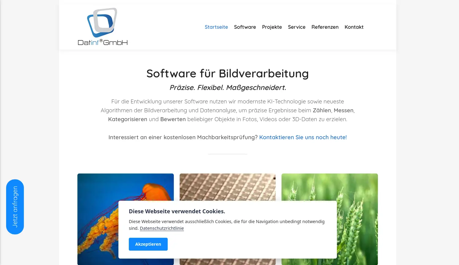 Website der Firma Datinf GmbH