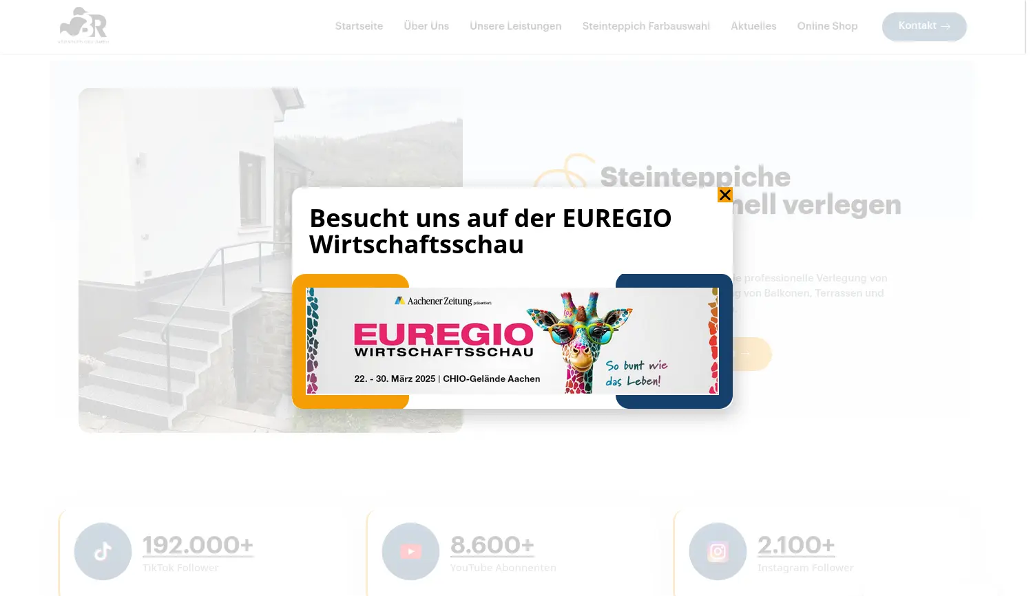 Website der Firma BR Steinteppiche GmbH