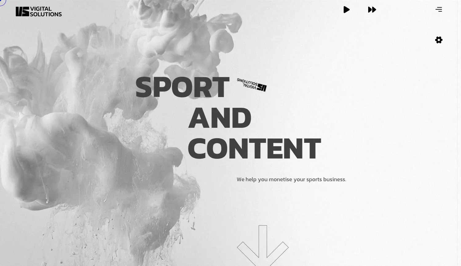 Website der Firma Vigital Solutions GmbH