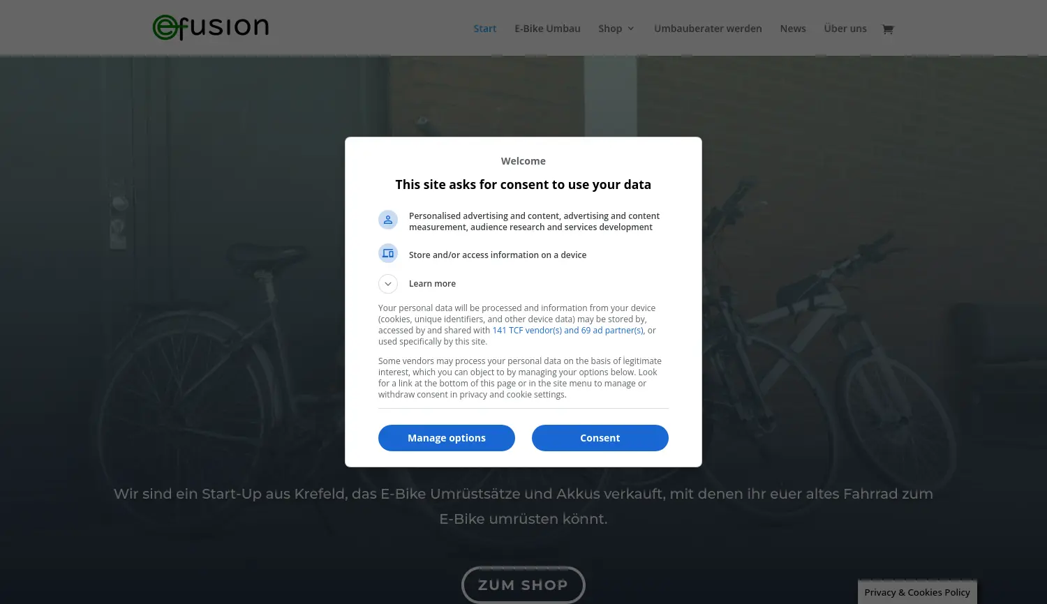 Website der Firma efusion GmbH