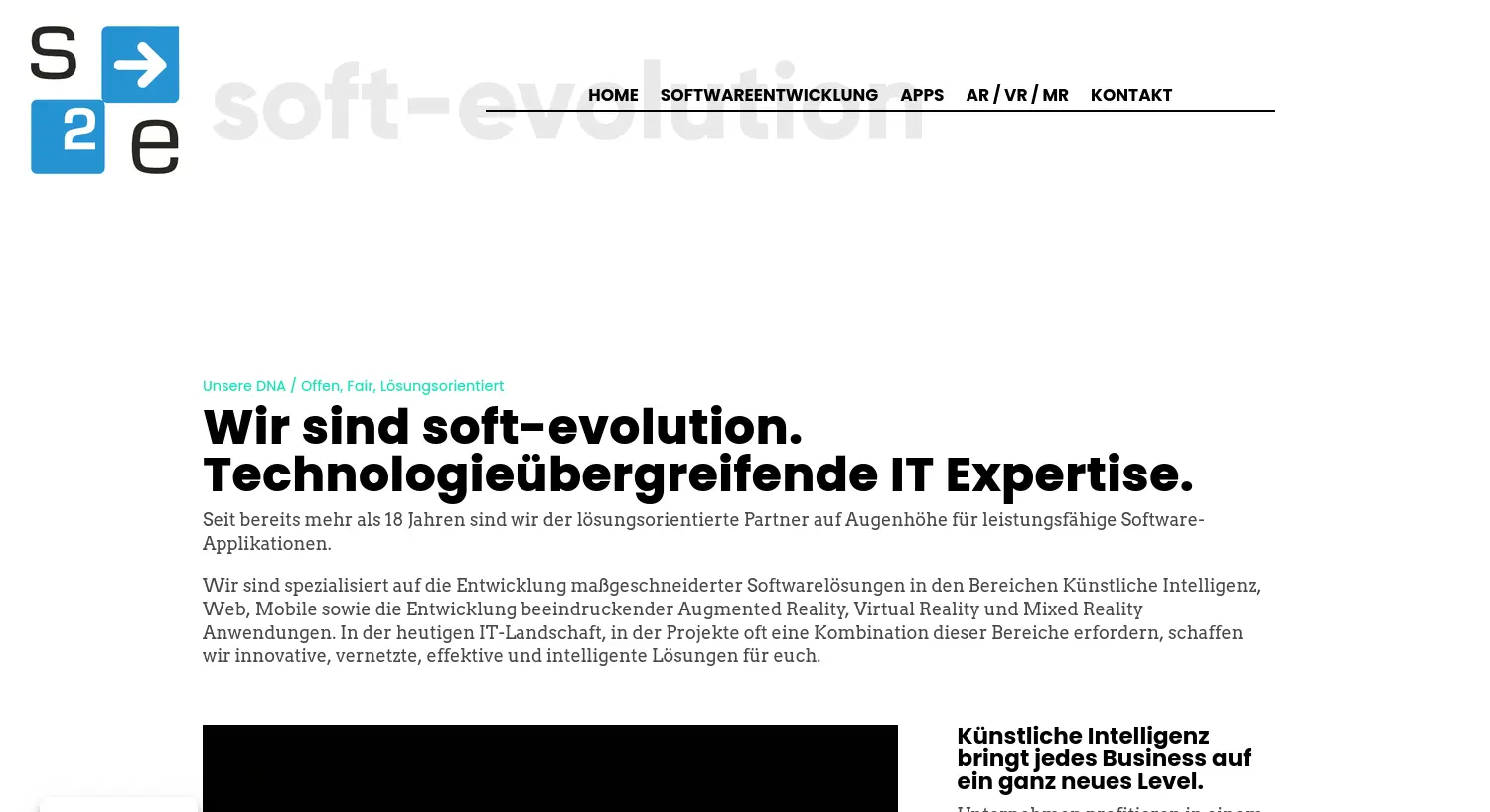 Website der Firma soft-evolution GmbH & Co. KG