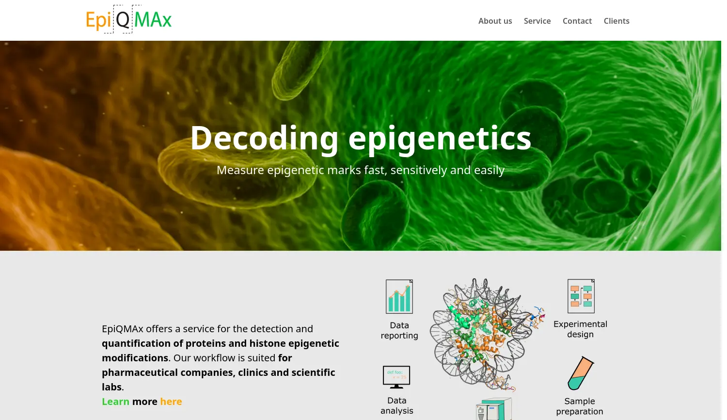 Website der Firma EpiQMAx GmbH