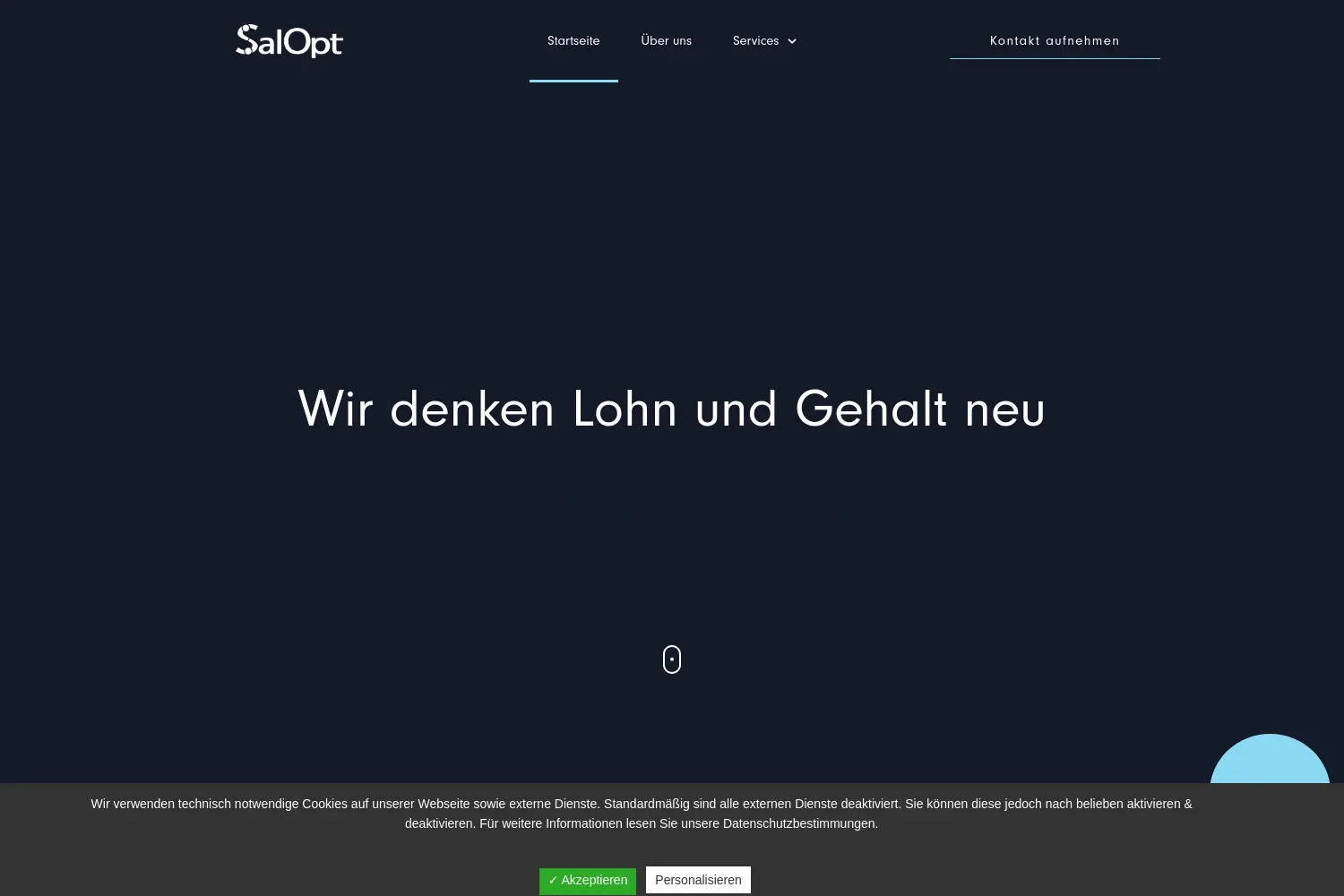 Website der Firma SalOpt GmbH