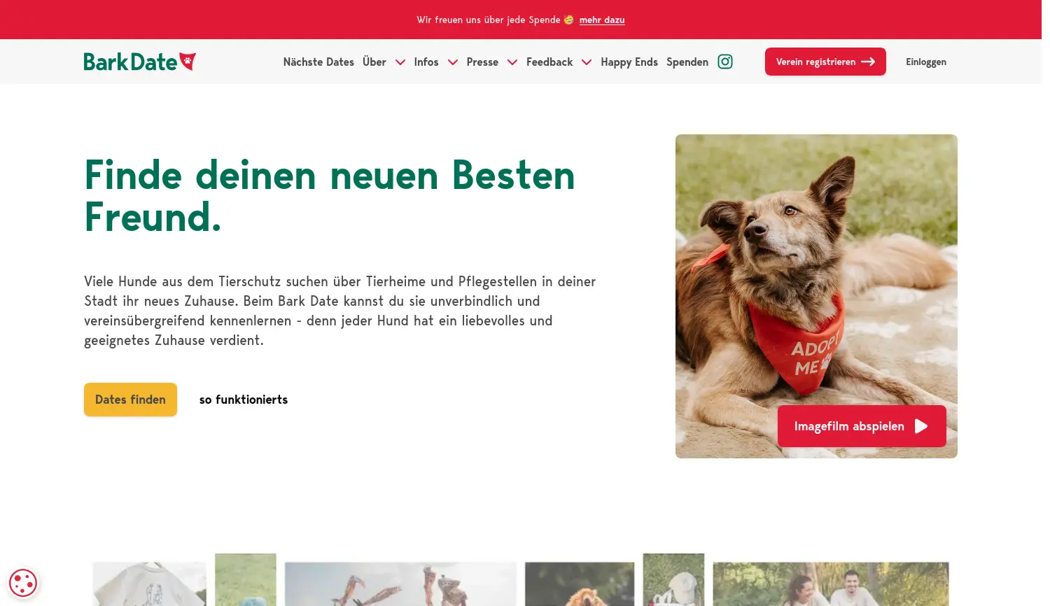 Website der Firma Bark Date gUG (haftungsbeschränkt)