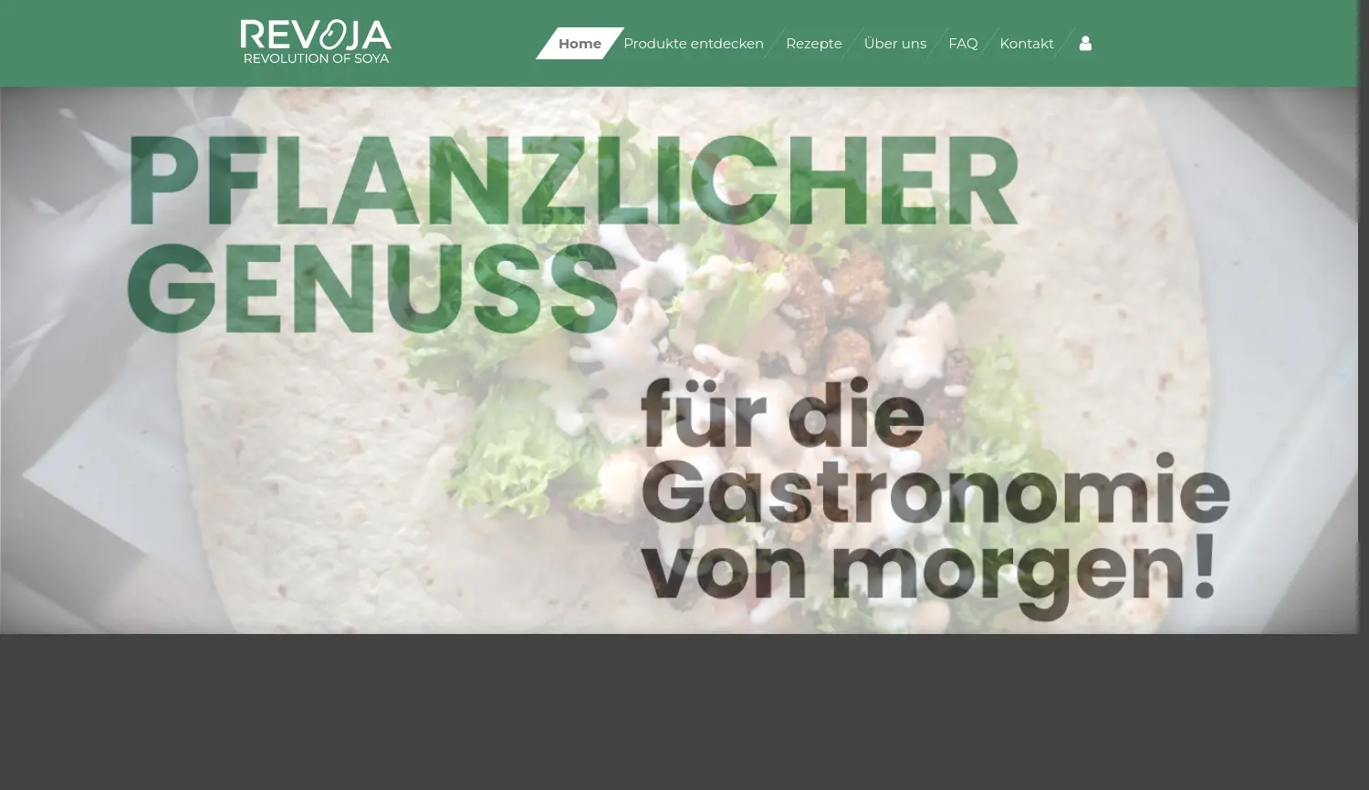 Website der Firma REVOJA – Phillip Kaapke