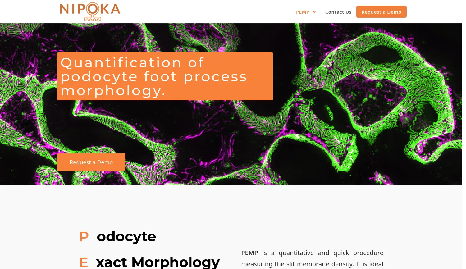 Website der Firma NIPOKA GmbH