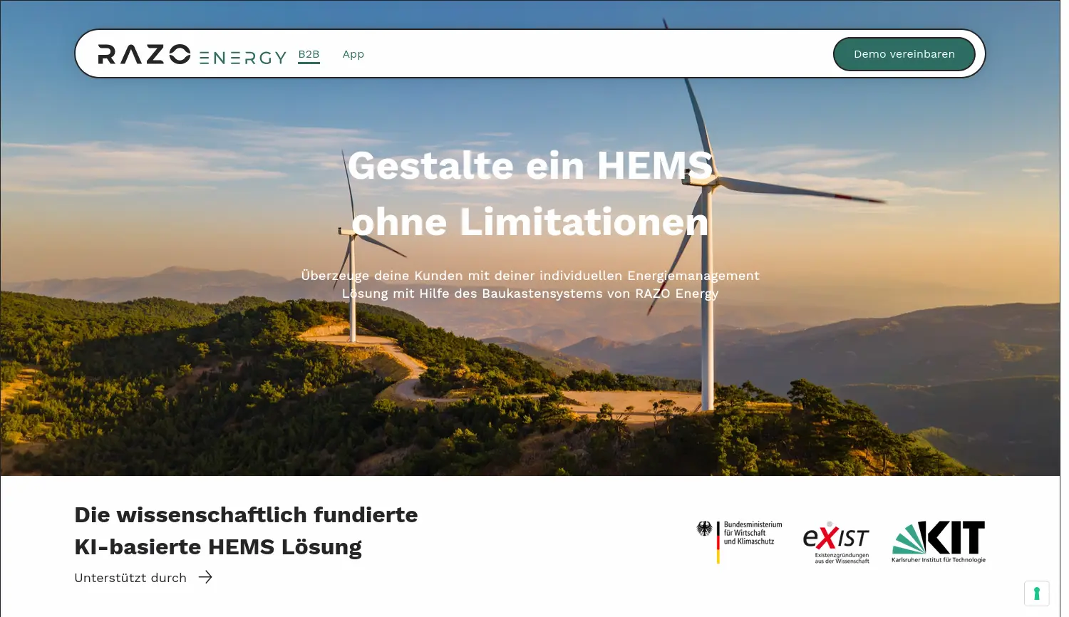 Website der Firma RAZO Energy GbR