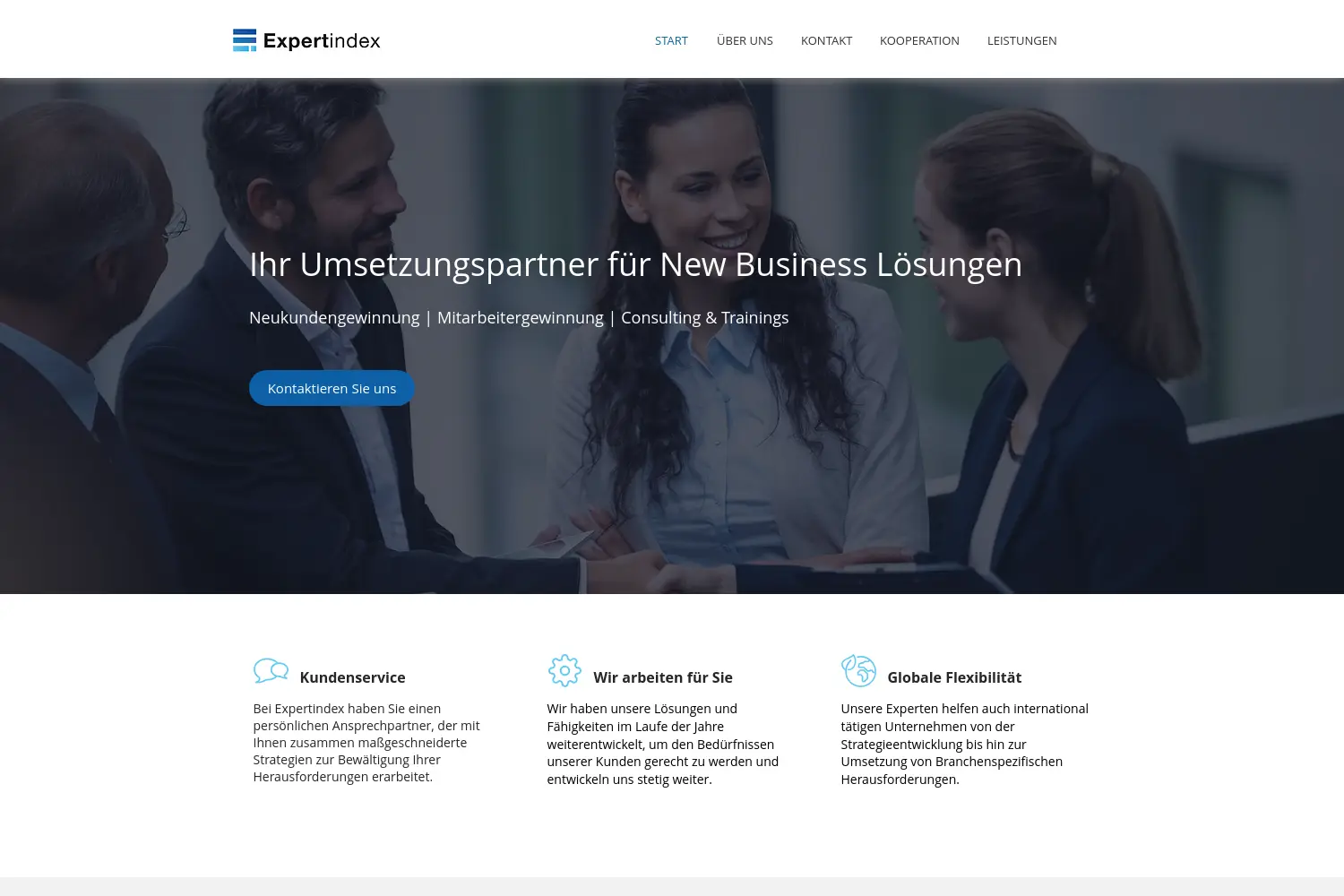 Website der Firma Expertindex UG