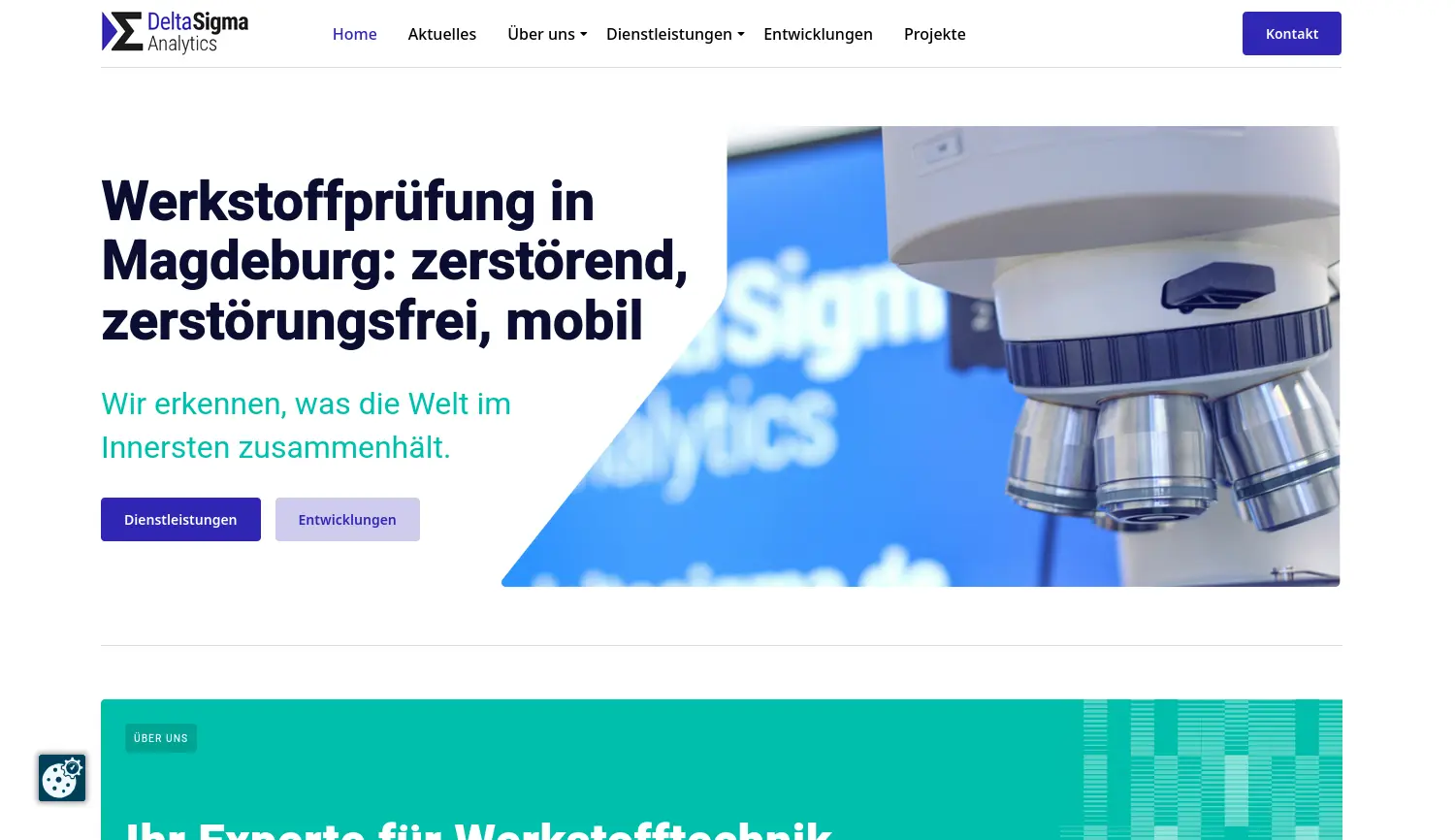 Website der Firma DeltaSigma Analytics GmbH