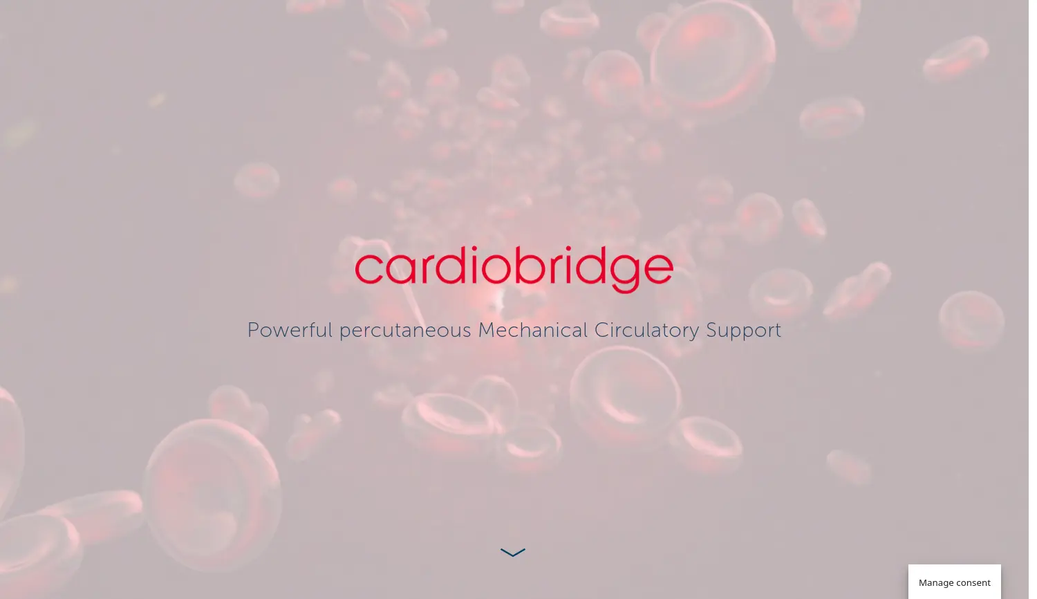 Website der Firma Cardiobridge GmbH