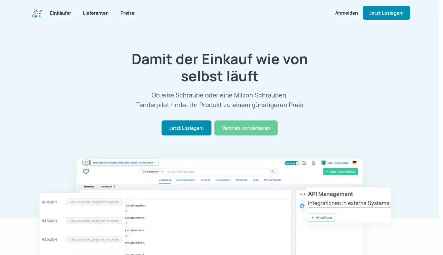 Website der Firma tenderpilot GmbH