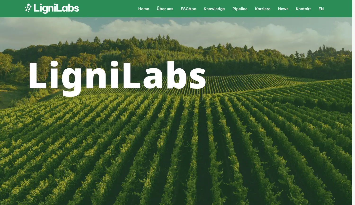 Website der Firma LigniLabs GmbH
