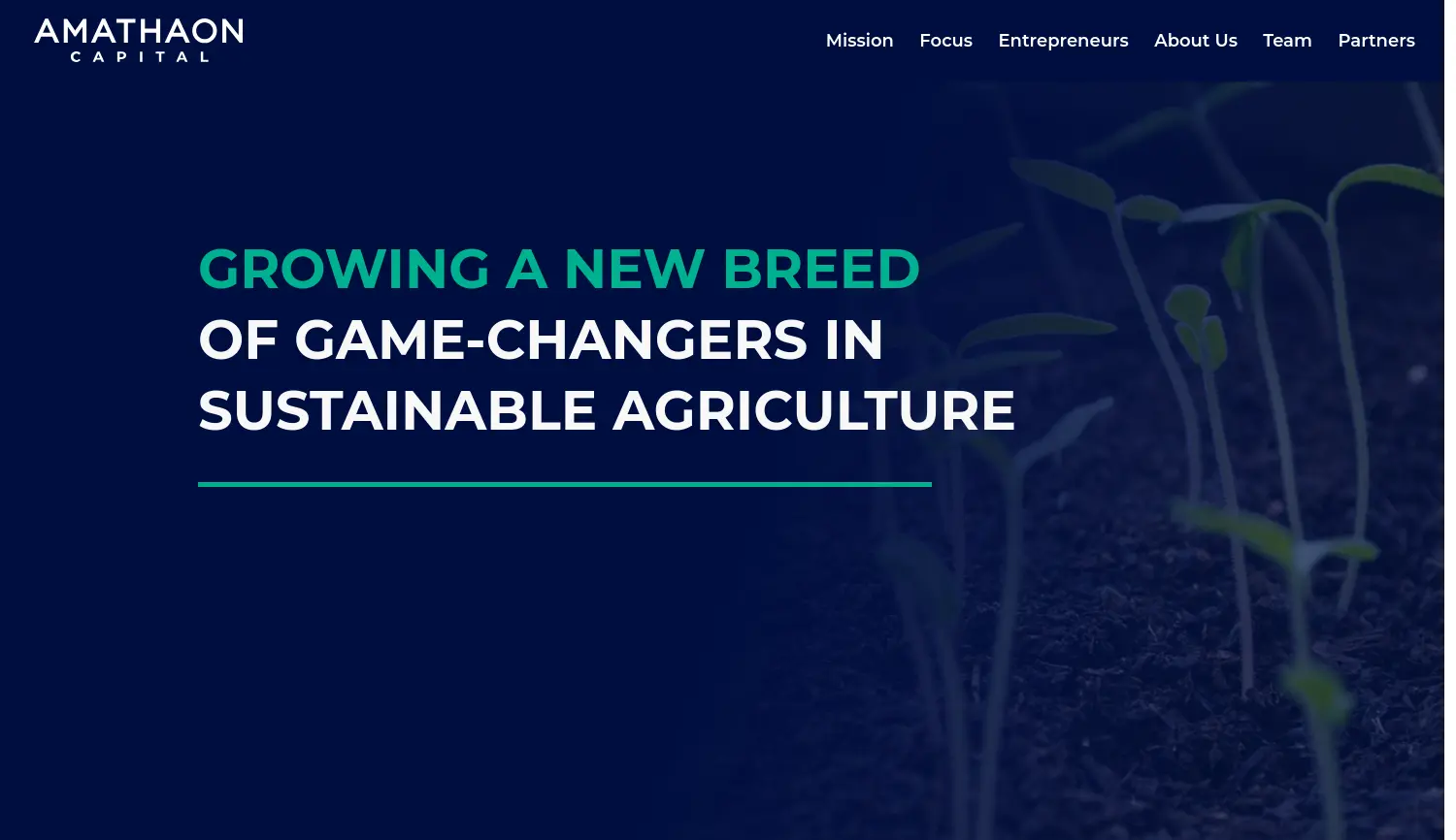 Website der Firma Amathaon Capital Team UG (haftungsbeschränkt)