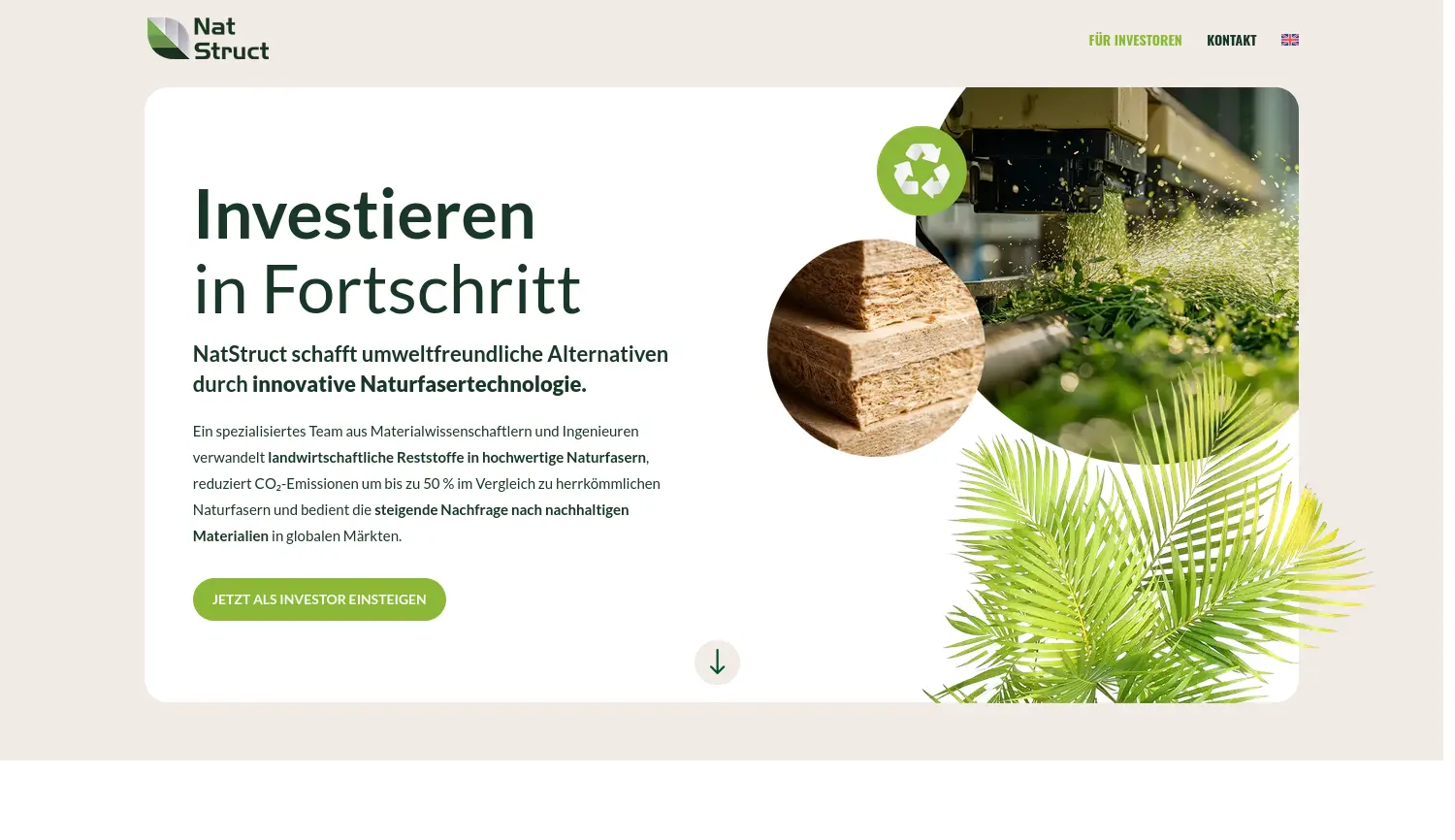 Website der Firma NatStruct AG