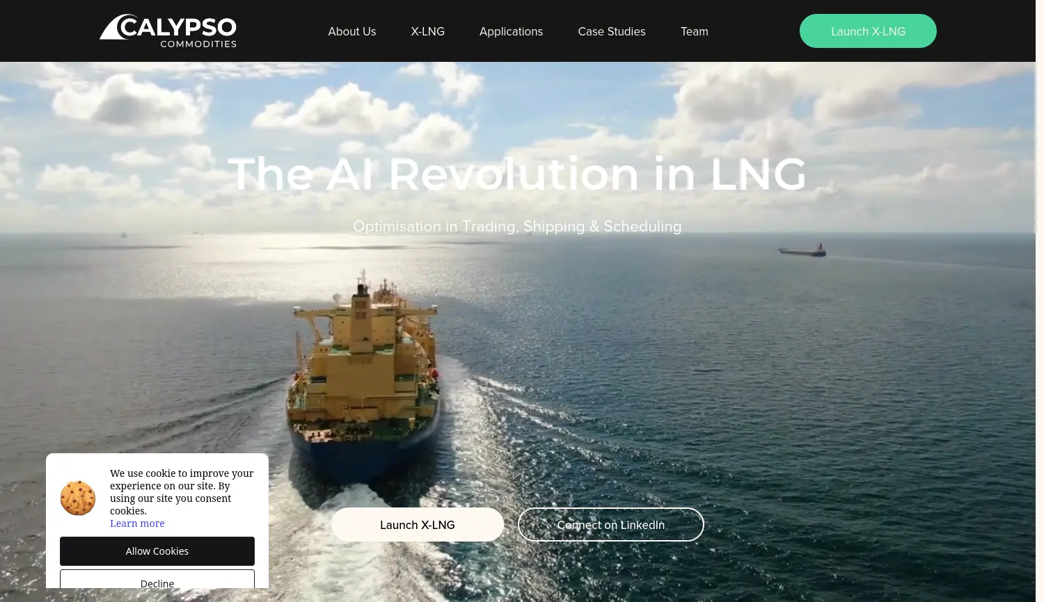 Website der Firma Calypso Commodities