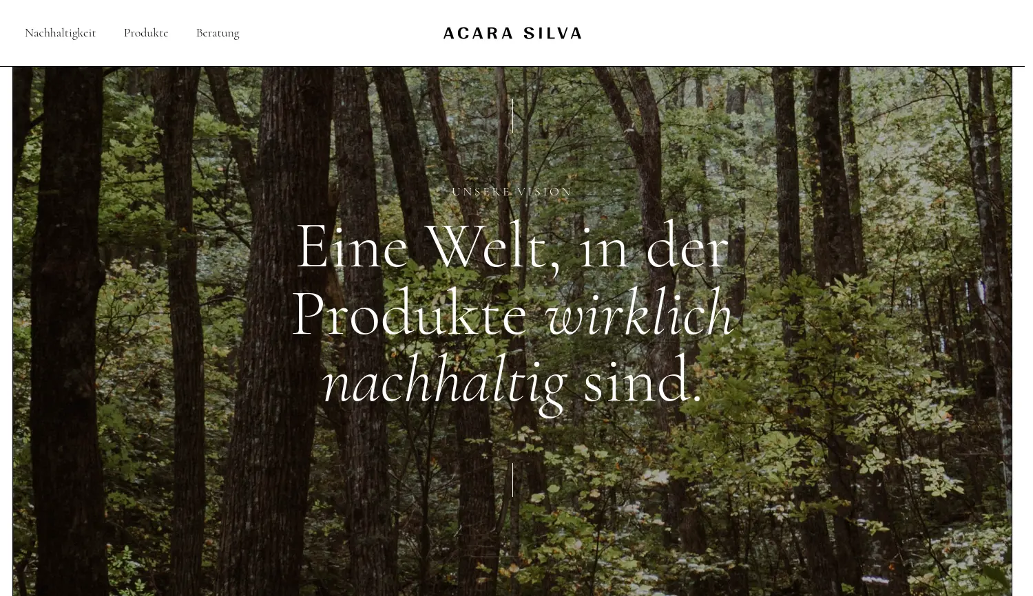 Website der Firma Acara Silva