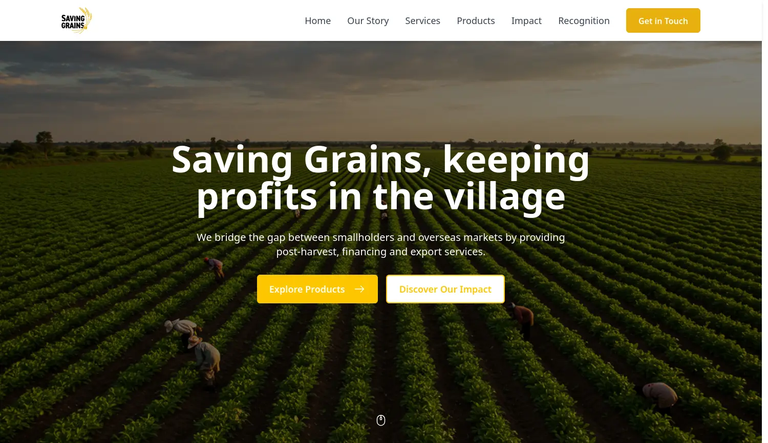 Website der Firma Saving Grains